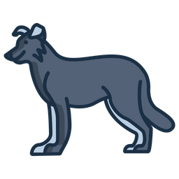 Border Collie  Icon