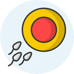 Konzeption  Symbol