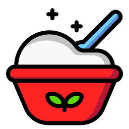 Healthy Food  Icon