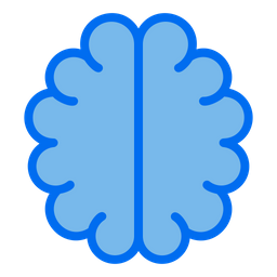 Brain  Icon