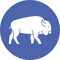 Bull  Icon