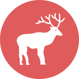 Deer  Icon