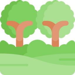 Forest  Icon