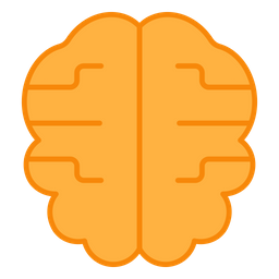 Brain  Icon