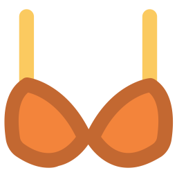 Bra  Icon