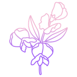 Butterfly Pea  Icon