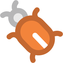 Bug  Icon