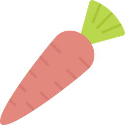 Carrot  Icon