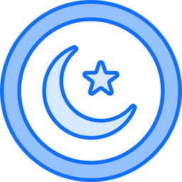 Coin  Icon