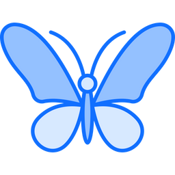 Butterfly  Icon