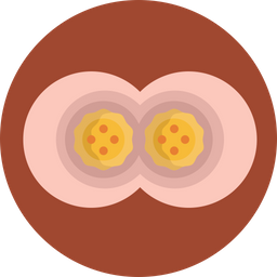 Divisão celular  Ícone