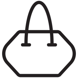 Bag  Icon