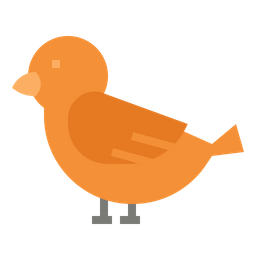 Bird  Icon