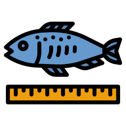 Fish Size  Icon