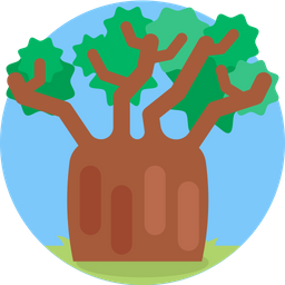 Baobab  Icon