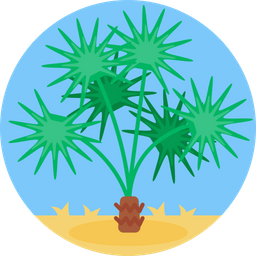 Desert  Icon