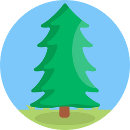 Christmas Tree  Icon