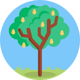 Fruit Tree  Icon