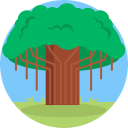 Forest  Icon