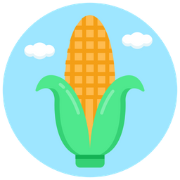 Corn  Icon