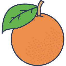 Orange  Icon