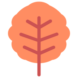 Alder  Icon