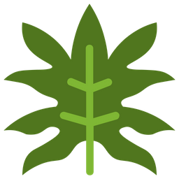 Aralia  Icon