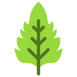 Basil  Icon