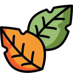 Leaf  Icon