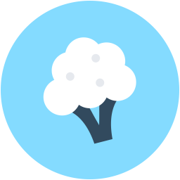 Cauliflower  Icon