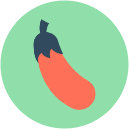 Brinjal  Icon