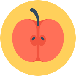 Apple  Icon