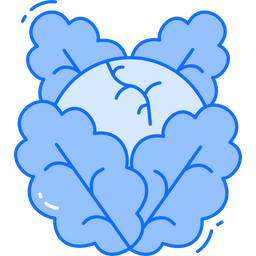 Cabbage  Icon