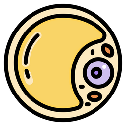 Adipose Cell  Icon