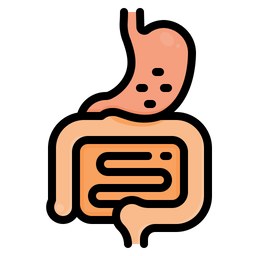 Digestive System  Icon