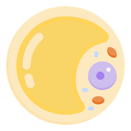 Adipose Cell  Icon