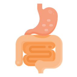 Digestive System  Icon