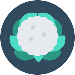 Cauliflower  Icon