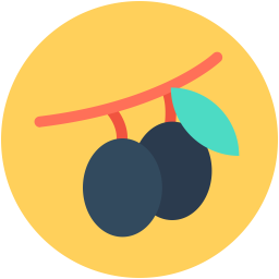 Cherry  Icon