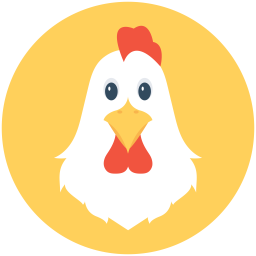 Chicken  Icon