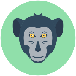 Baboon  Icon