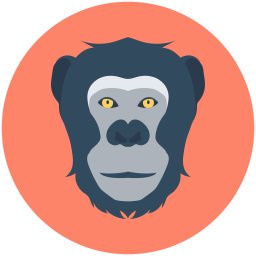 Baboon  Icon