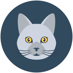 Cat  Icon