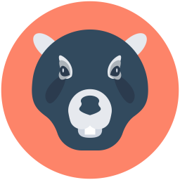 Bear  Icon