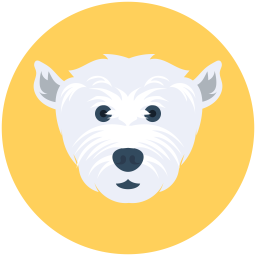 Bear  Icon