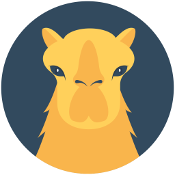 Camel  Icon