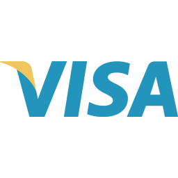 Visa Buy Card Icon