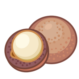 Macadamia  Icon