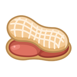 Peanut  Icon