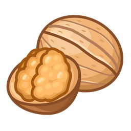 Walnut  Icon